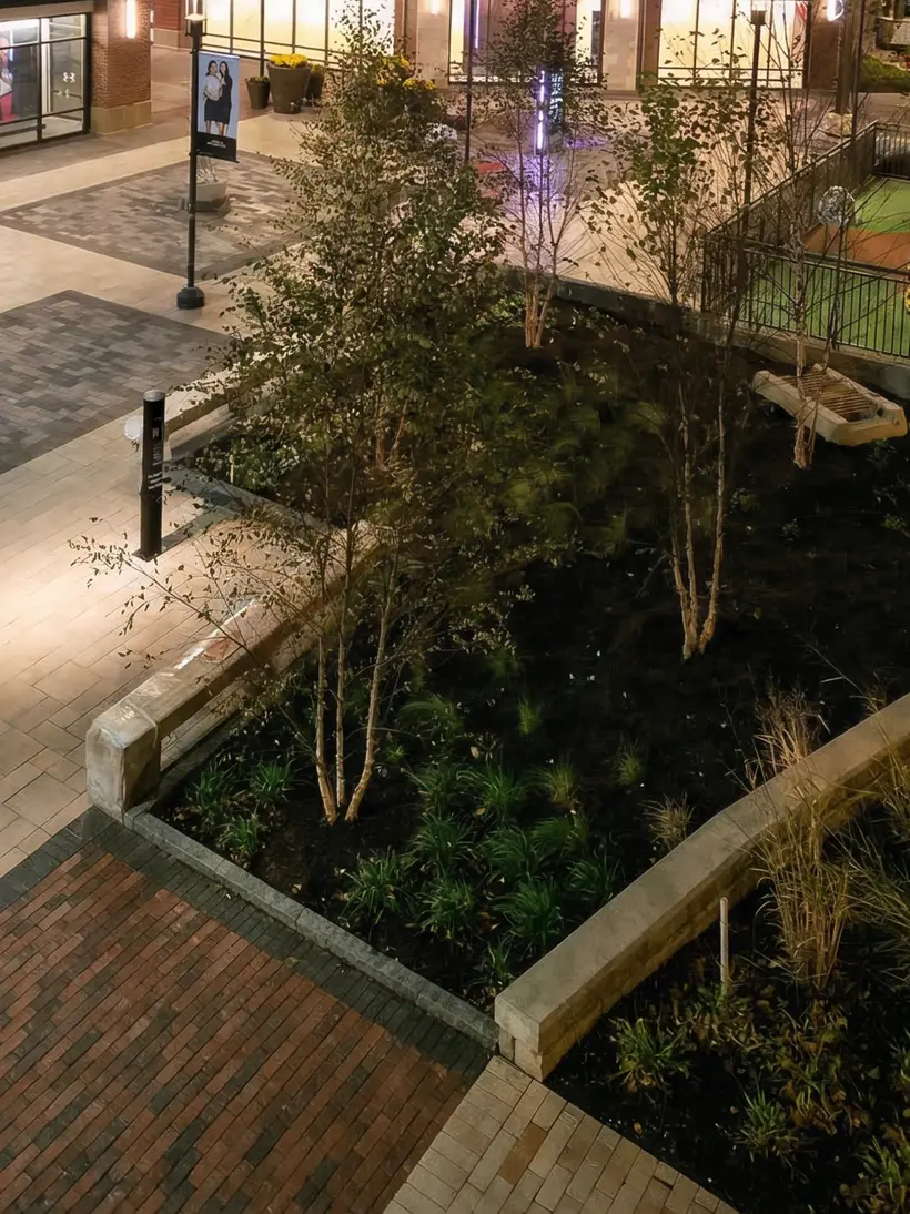 Retail plaza at night with illuminated trees
