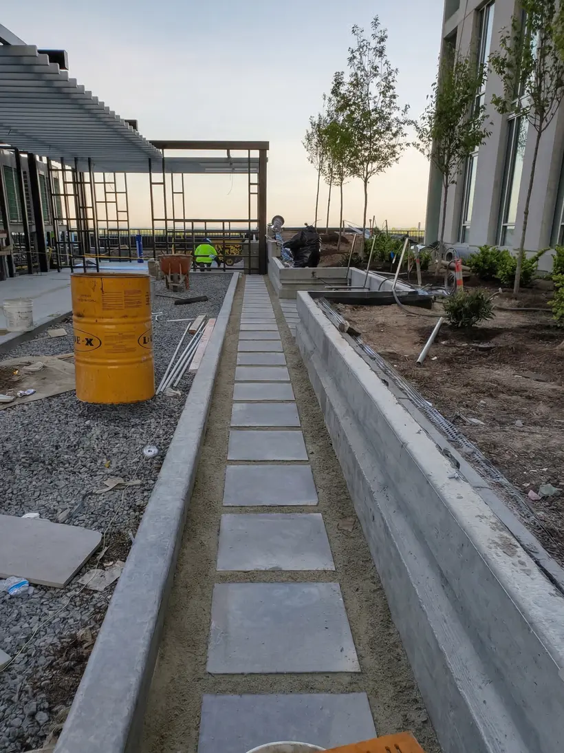 Rooftop terrace with a pergola and young trees at sunset