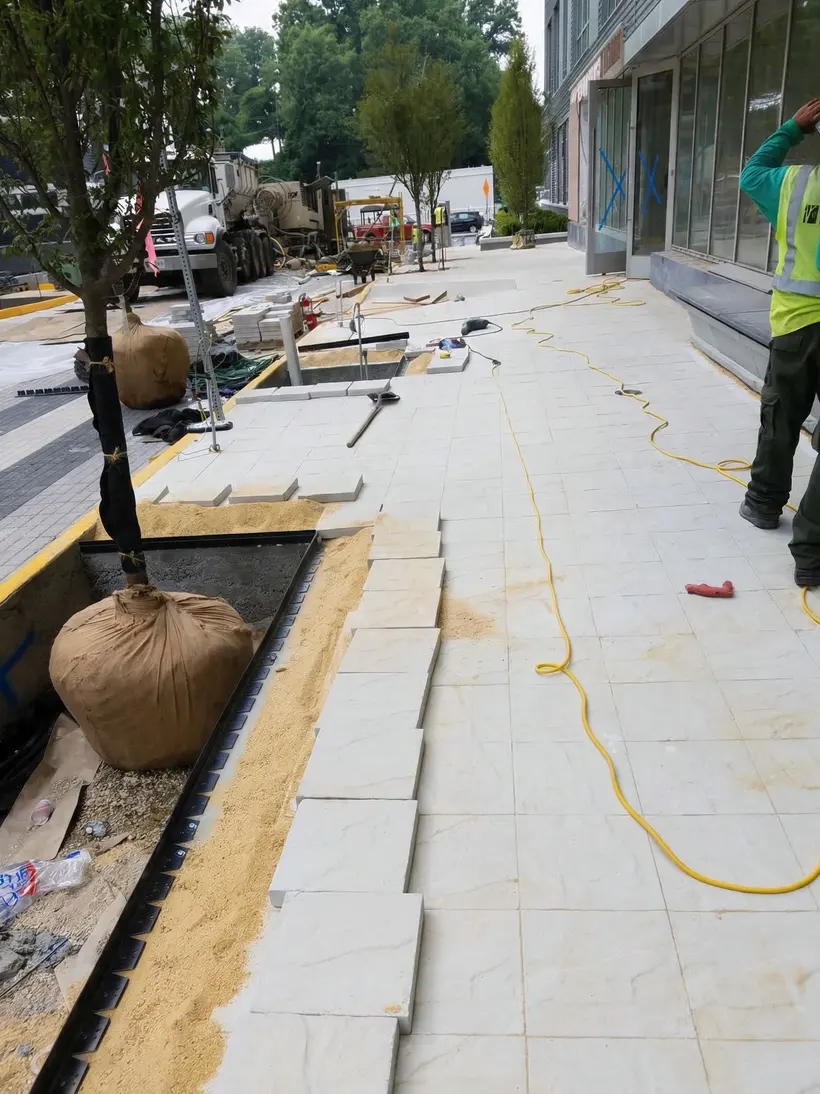 Tree root ball ready for planting on a plaza